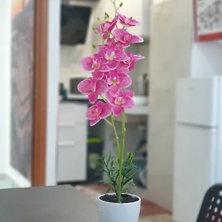 Family Dreams Apartment